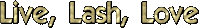 Lashes Sticker by Mega Lash Academy