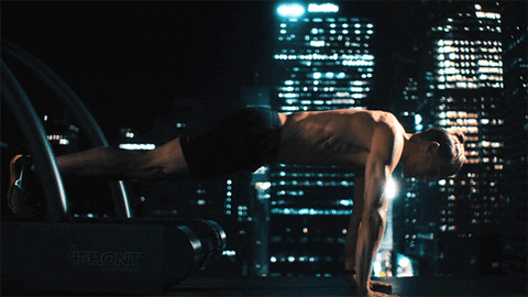 yogi GIF