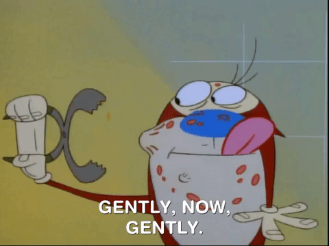 ren and stimpy nicksplat GIF