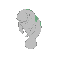 Ocean Florida Sticker by Fin Pin Shop