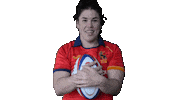 FERugby rugby fer pgr bimba Sticker