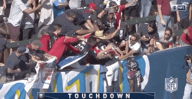 Houston Texans Football GIF by NFL