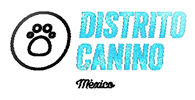 GIF by Distritocanino