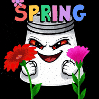 Happy Feeling Good GIF by SALT