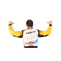 Action Driver Sticker by Cinisio Racing