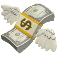 Money Wow Sticker by Design Practice