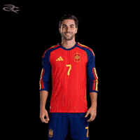 Fifa World Cup Spain GIF by Respective