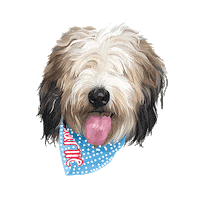 dog puppy Sticker by Izzy + Otis