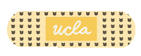 Graduation Doctors Sticker by UCLA