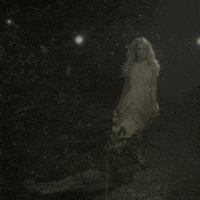 country music love GIF by Carrie Underwood