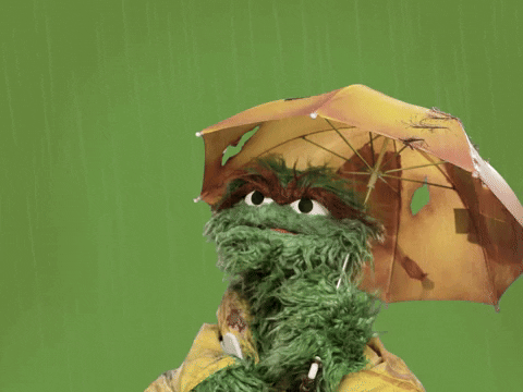 Raining Oscar The Grouch GIF by Sesame Street