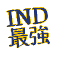 Pacers Sticker