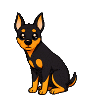 Miniature Pinscher Dog Sticker by zidama