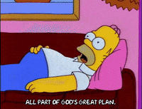 homer simpson GIF