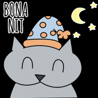 PacoBancal gato luna buenas noches noche GIF