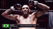 블랙컴뱃 GIF