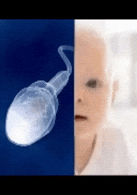 Baby Kid GIF