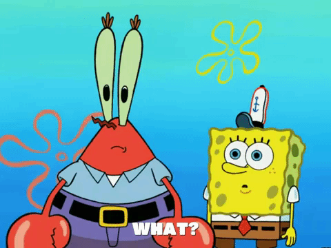 season 6 GIF by SpongeBob SquarePants
