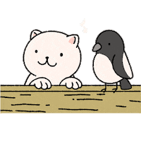 Cat Love Sticker by HyperBeard