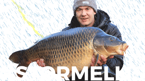 Carp Fishing Sticker by Avid Carp