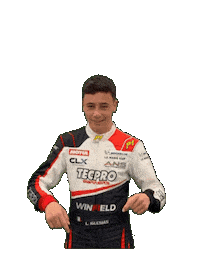 Racing Driver Sticker by ANS Motorsport
