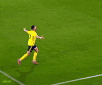 Celebrating Cristiano Ronaldo GIF