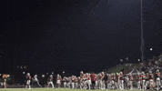 College Football GIF by Norwich University