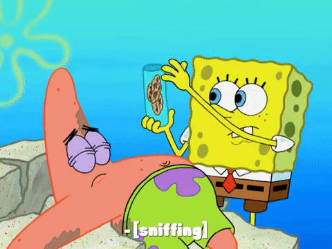 season 7 episode 26 GIF by SpongeBob SquarePants