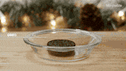 GIF by Mashable