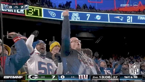 National Football League GIF by NFL