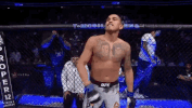 ufc 229 sport GIF by UFC