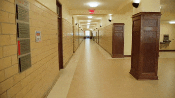 Norman Hall Uf GIF by University of Florida College of Education