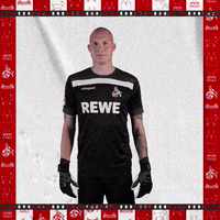 1 Fc Cologne Football GIF by 1. FC Köln