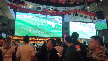 Fans Cheer as Japan Scores Against Germany