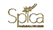 Spica Sticker by spicagayrimenkultr