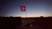 Peace GIF by moestwanted