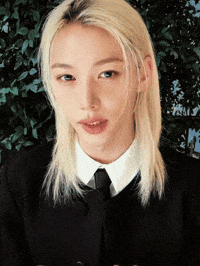 Stray Kids Skz GIF