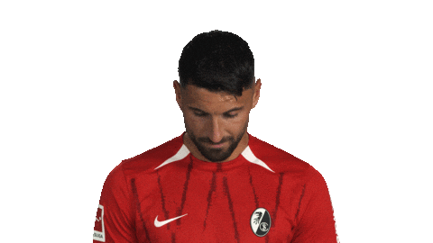Look Up Sc Freiburg Sticker by Bundesliga