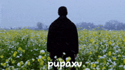 Sad Flowers GIF