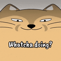 Suspicious Whats Up GIF by MESA My Emotional Support Animal