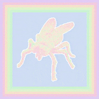 elias_mason party wow rainbow trippy GIF