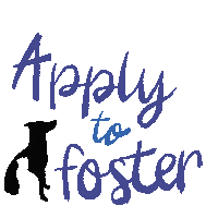 Philly_PAWS philly paws foster philly paws Sticker