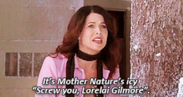 lorelai gilmore GIF