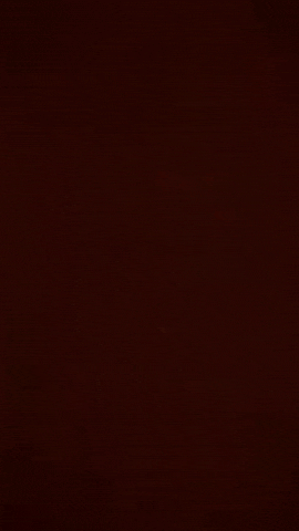 Festival Colors GIF by Global Tara Entertainment