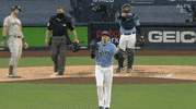 Tampa Rays Clap GIF by Jomboy Media