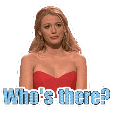 Wait What Hello Sticker by Blake Lively Fan