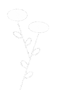 Art Design Sticker