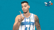 happy willy hernangomez GIF by Charlotte Hornets