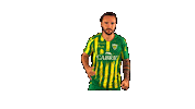 Liga Nos Sticker by CD Tondela