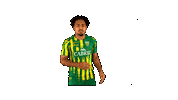 Liga Nos Sticker by CD Tondela